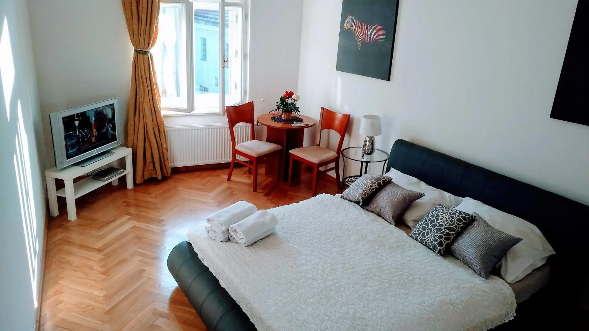 Pretty, Comfortable Apartment Praag